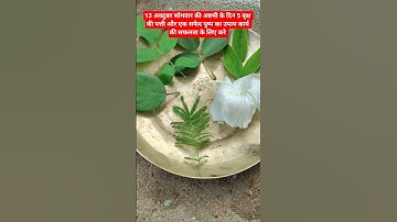 सोमवार की अष्टमी का अचूक उपाय #pradeepmishra #pujyapanditpradeepmishra #shortvideo