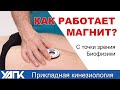 Магниты в Прикладной кинезиологии. (Глеб Кирдогло)