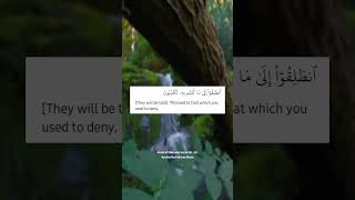 Download Lagu Qu'ranic Recitation |Edrissa Musa Sillah |SurahAlMursalat|V20-34 #quranrecitation #islamicvideo #fyp MP3 Download Lagu Qu'ranic Recitation |Edrissa Musa Sillah |SurahAlMursalat|V20-34 #quranrecitation #islamicvideo #fyp MP3