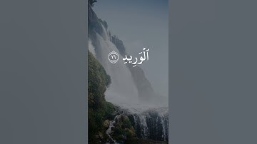 يا عِبادِ لا خَوفٌ عَلَيكُمُ اليَومَ|تلاوة لا توصف تأسر القلوب | كنوز الشيخ محمد صديق المنشاوي