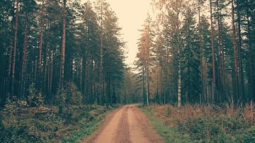 E-commerce using CakePHP - Chapter 2 - PHP Concepts - 3- Constants