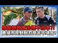 綠鬣蜥政策「治標不治本」？！農損市民默默忍受苦不堪言！@ChinaTimes @joby0372 #綠鬣蜥 #政策 #農民 #生態 #政府