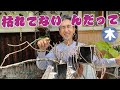 【植物って面白い】枯れてるって？生きてるよ！ゾンビプランツは擬態して生き残る【本田高史】