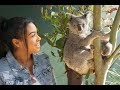 Australia Vlog