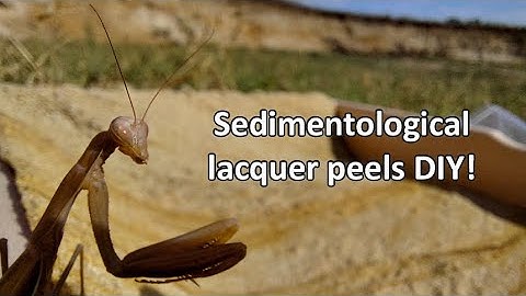 Making sedimentological collection of lacquer peels