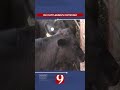 News 9 On the Go PM | August 24, 2026