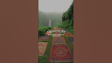 ارح سمعك و قلبك 🤍 قرآن كريم 🤍 اكتب شيئا تؤجر عليه 🤍