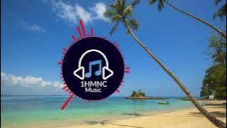 Silent Partner - Swamp Stomp [Country & Folk] Loop