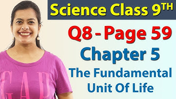 Q 8 - Page 59 - Chapter 5 - The Fundamental Unit Of Life - Science Class 9 - NCERT