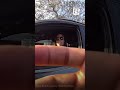 Distracted driving stop becomes awkward