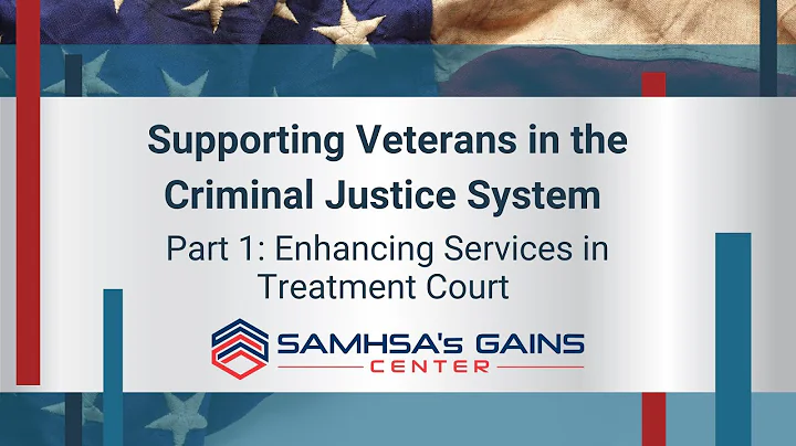 Supporting Veterans Part 1: Enhancing Services in Treatment Court