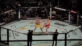 Jiří Procházka vs Alex Pereira ufc 295 full fight / Alex Pereira vs Jiří Procházka ufc 295 fight