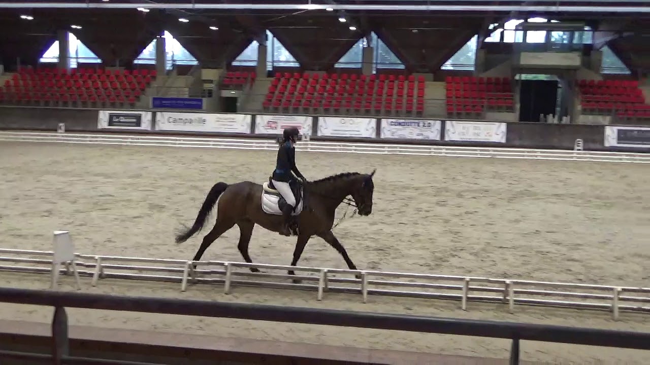 Chloé & Fouline → MarcqEnBaroeul Club 3 Grand Prix