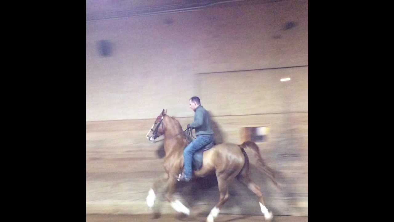 Truffles and Ruffles YouTube