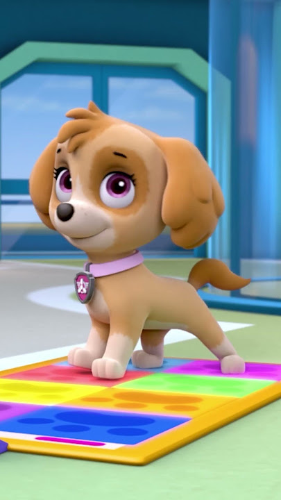 Do the Pup Pup Boogie! 🕺💃 #PAWPatrol #Shorts #dance