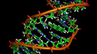 Insight Into DNA Repair Response Points To New Cancer Therapy
