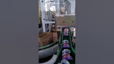 Chip food robot hand sorting cartoning machine automatic cartoner line