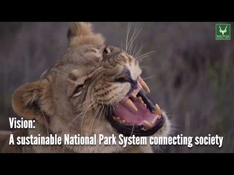An introduction to South African National Parks (SANParks)