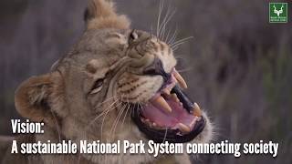 An introduction to South African National Parks (SANParks)