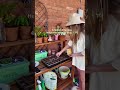 ITS SPRING!!! It’s time to garden!!!! I am not expecting much of what I plant to actually work, but