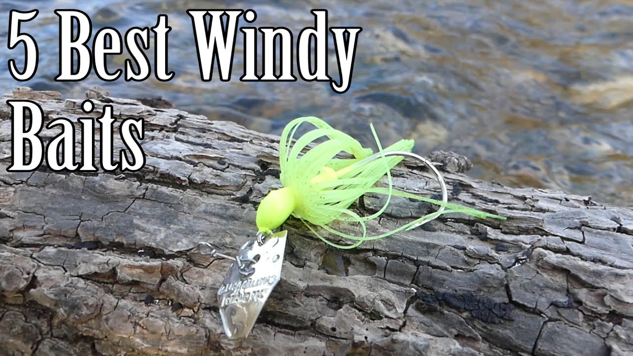 Tips For Catching Bass: Season & Time Of Day – WindRider