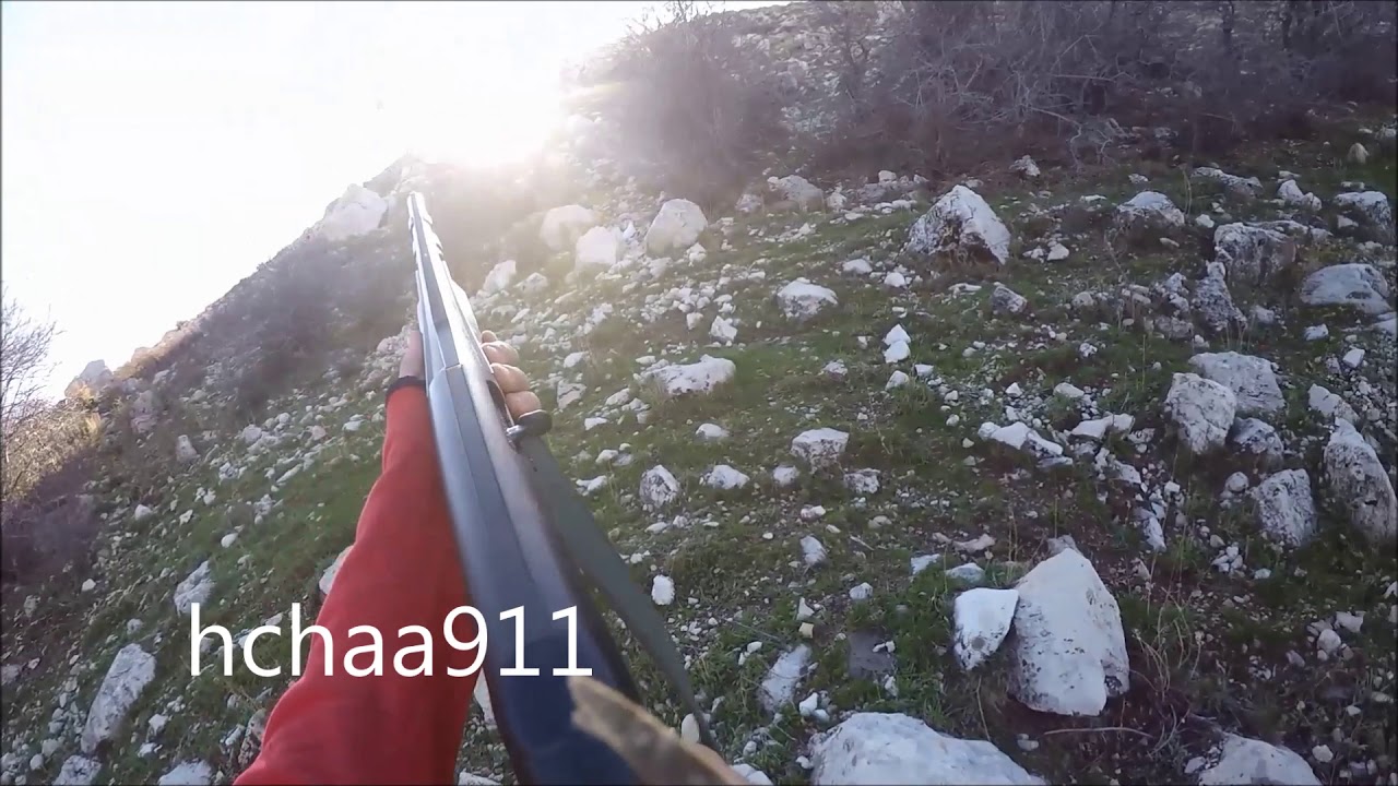 Woodcocking hunting in lebanon chasse de la becasse صيد دجاج الارض