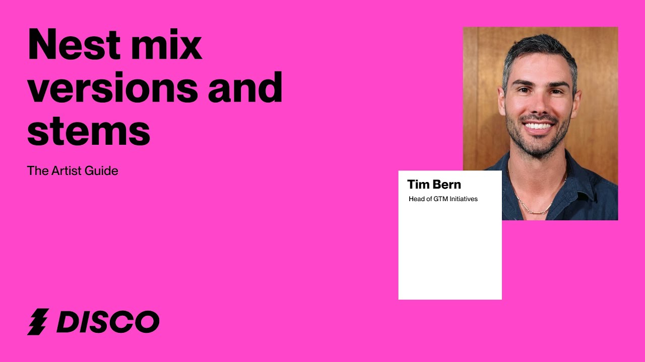 Nesting multiple mix versions of the same tracks in DISCO