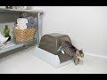 【スクープフリー】自動ねこトイレの機能のご紹介