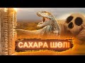 СІЗ БІЛМЕЙТІН САХАРА