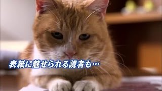 世界を身近に　朝日新聞ＧＬＯＢＥ