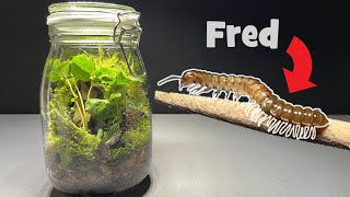 a Home for Fred