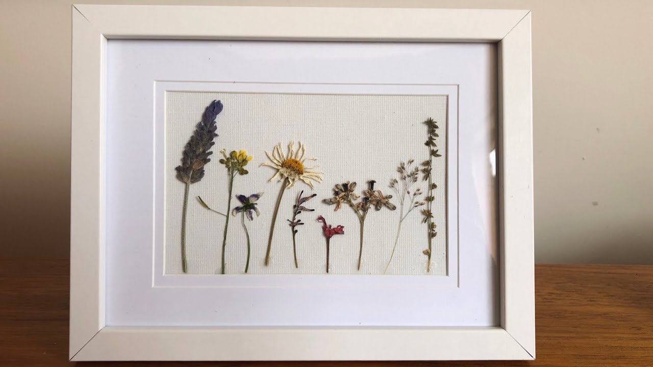 Framing pressed flowers YouTube