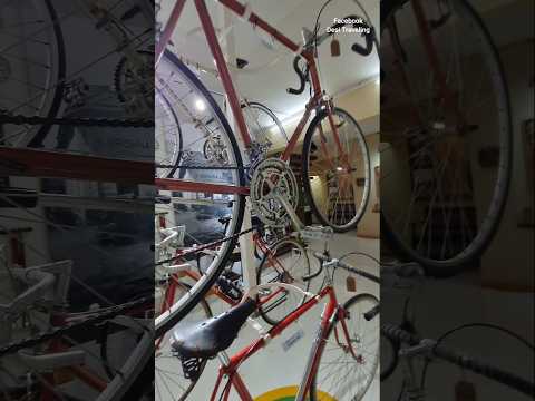 Unbelievable 100 Year