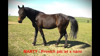 Marty - náš koník / Our horse