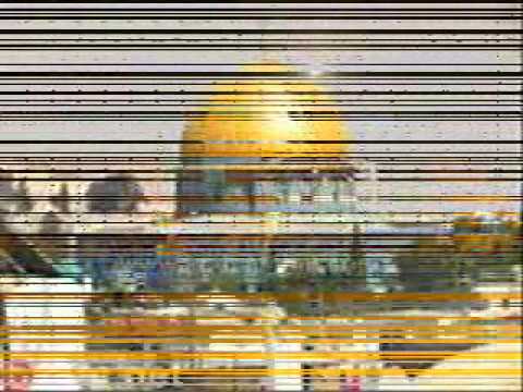 سالي عمر خليفة
