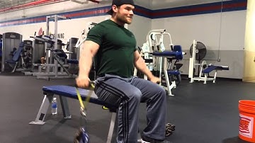 Seated Lateral Chain Raises