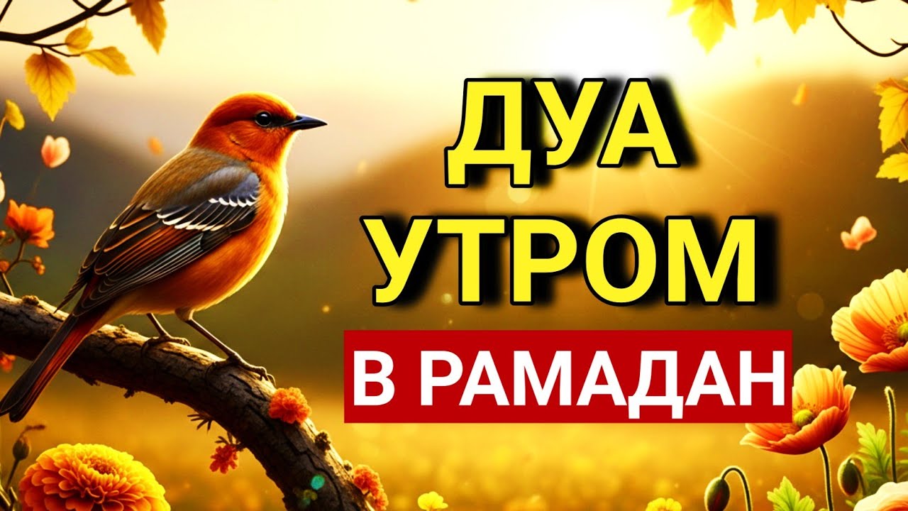 ☝️💝 МОЩНАЯ ДУА УТРОМ В РАМАДАНЕ 🤲✨💯