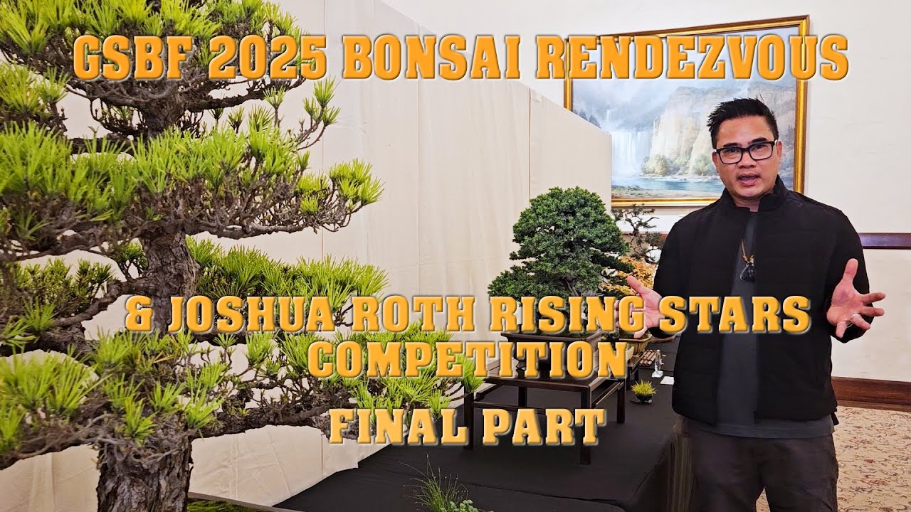 GSBF Finale Bonsai Rendezvous & Joshua Roth Rising Stars competition  #bonsai #GSBF #Bonsaishow