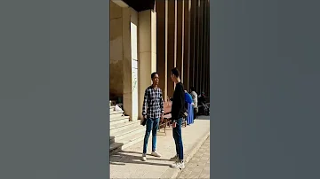 دي مش جامعه دي كباريه فيلم مرجان احمد مرجان 