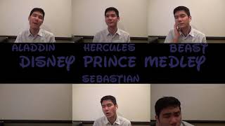 Disney Prince Medley