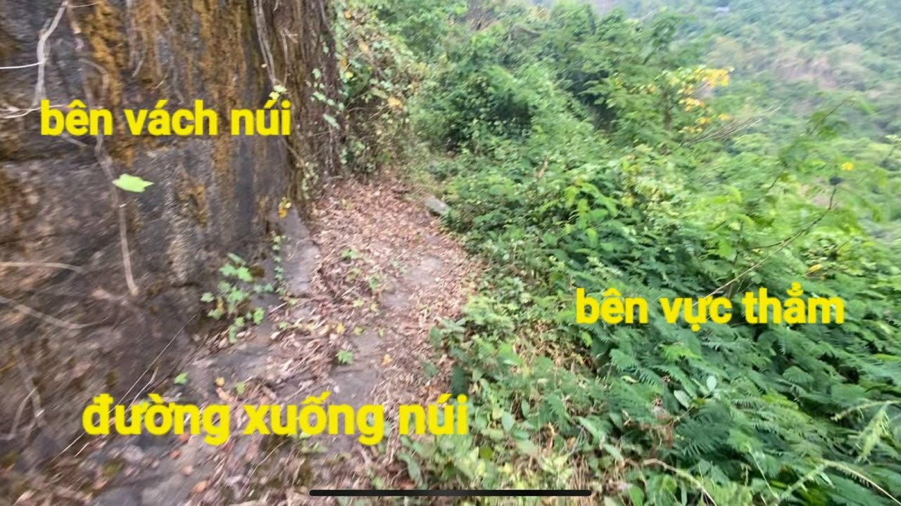 Gặp căn chồi giữa rừng núi Tô nghi vấn có ông lão tu trên núi nhưng không có duyên gặp