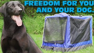 Introducing the Collapsible Dog Crate - Terrain D.O.G.®