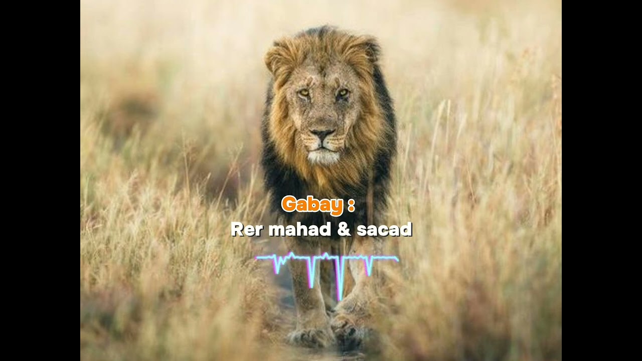 Gabay Calaacala Sacad Vs Reer mahad Dagaalkii Buqraas