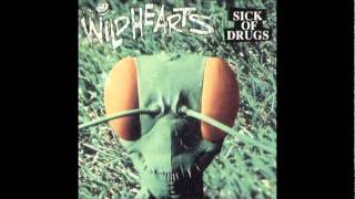 Watch Wildhearts Sky Chaser High video