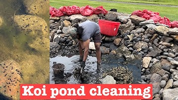 How An Algae-Infested Koi Fish Pond Is DeepCleaned