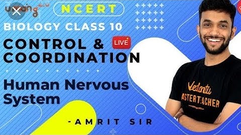 CONTROL AND COORDINATION BY AMRIT RAJ