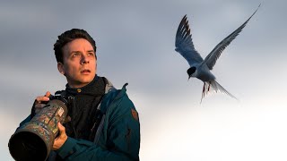 BIRD PHOTOGRAPHY in Northern Norway