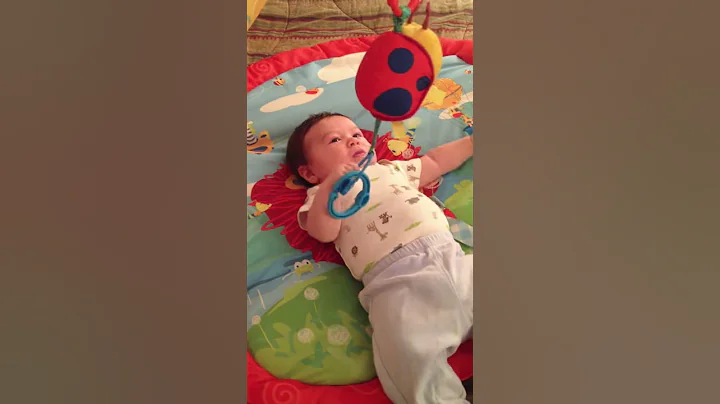 playing with the ladybug