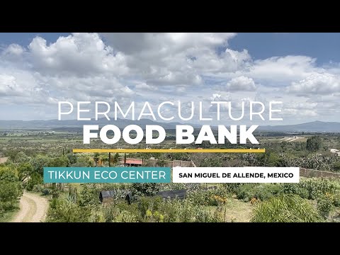 Permaculture Food Bank