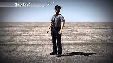 Ninja Idle #2 - 3d Motion Capture FBX